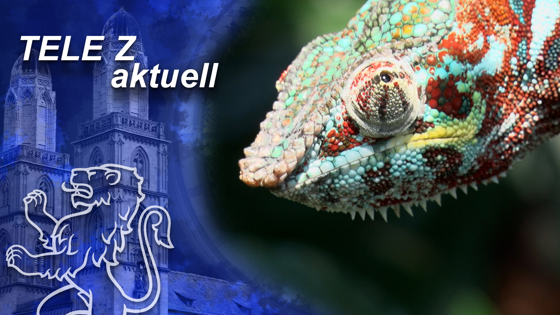 Tele Z - Aktuell Beitrag: Zürich: Masoala-Halle im Zürcher Zoo feiert ...