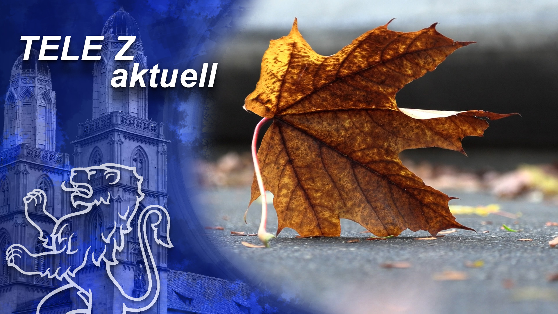 Tele Z Aktuell Beitrag Region Wetterrückblick Oktober